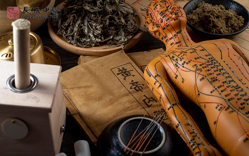 Acupuncture model and herbal medicine.